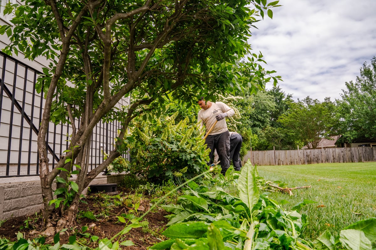 Landscaping - Maintenance of Lawn & Trees